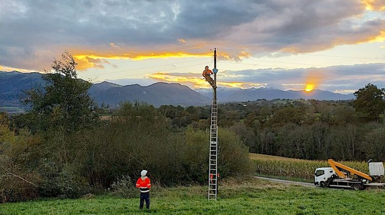 COUP DE CŒUR - La réactivité dans l’ADN du groupe Despagnet BTP